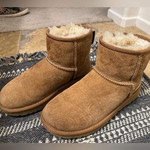 Ugg Boots Chestnut